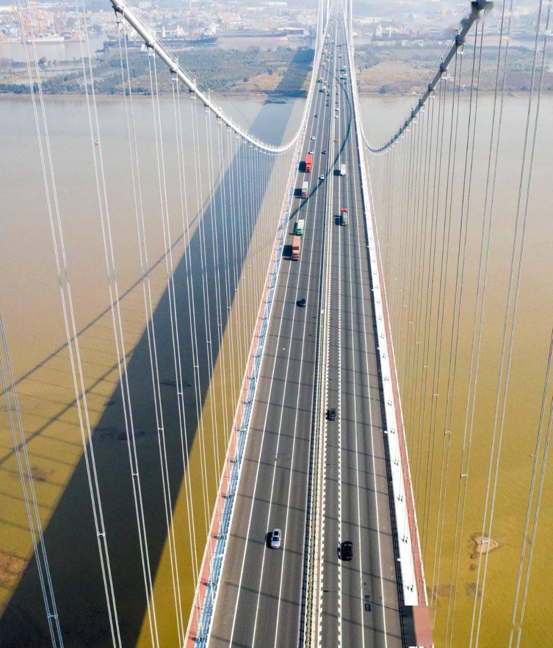 【资讯】黄埔大桥两次防护方案缘何都选择了海虹老人?答案在这