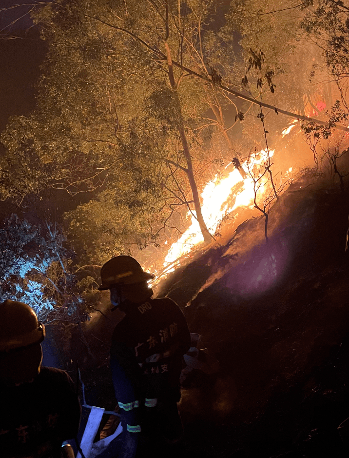 深夜突发深圳一工业区旁发生山火