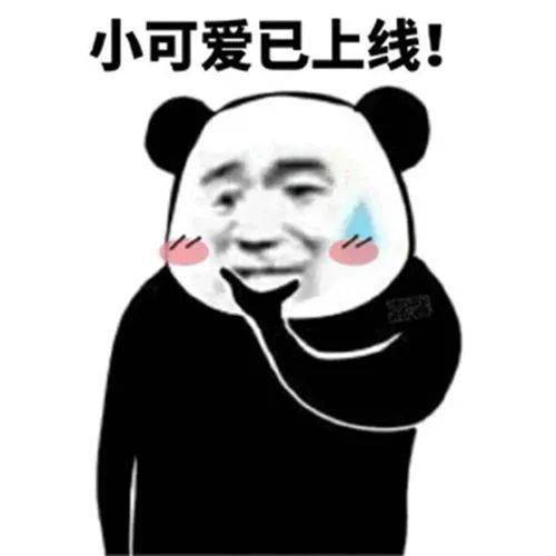 bc6f88a5d3e44de69514027dc545c4ae.jpeg