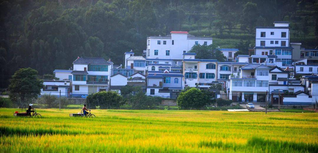 临武县邝家村2821人口_临武县谭家湾村图片