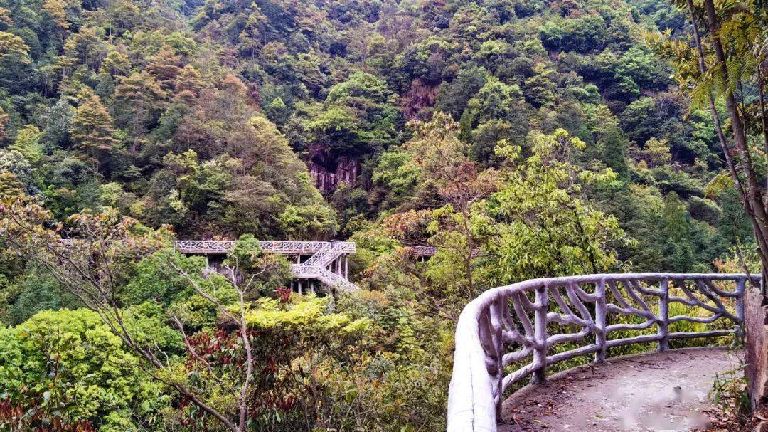 苍南莒溪大峡谷景区图片