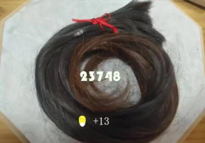 女生一年到底要掉多少头发？有人数了：23748根