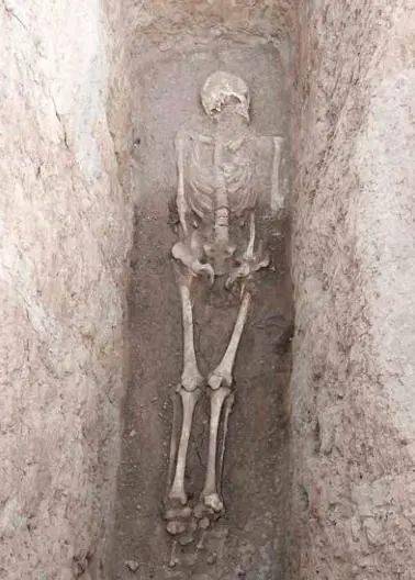 杂志精选透骨见人考古现场人骨信息的提取与解读