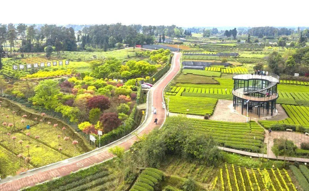 田田探园丨走进家门口的好学校幼儿园系列之八:蒲江县成佳镇幼儿园