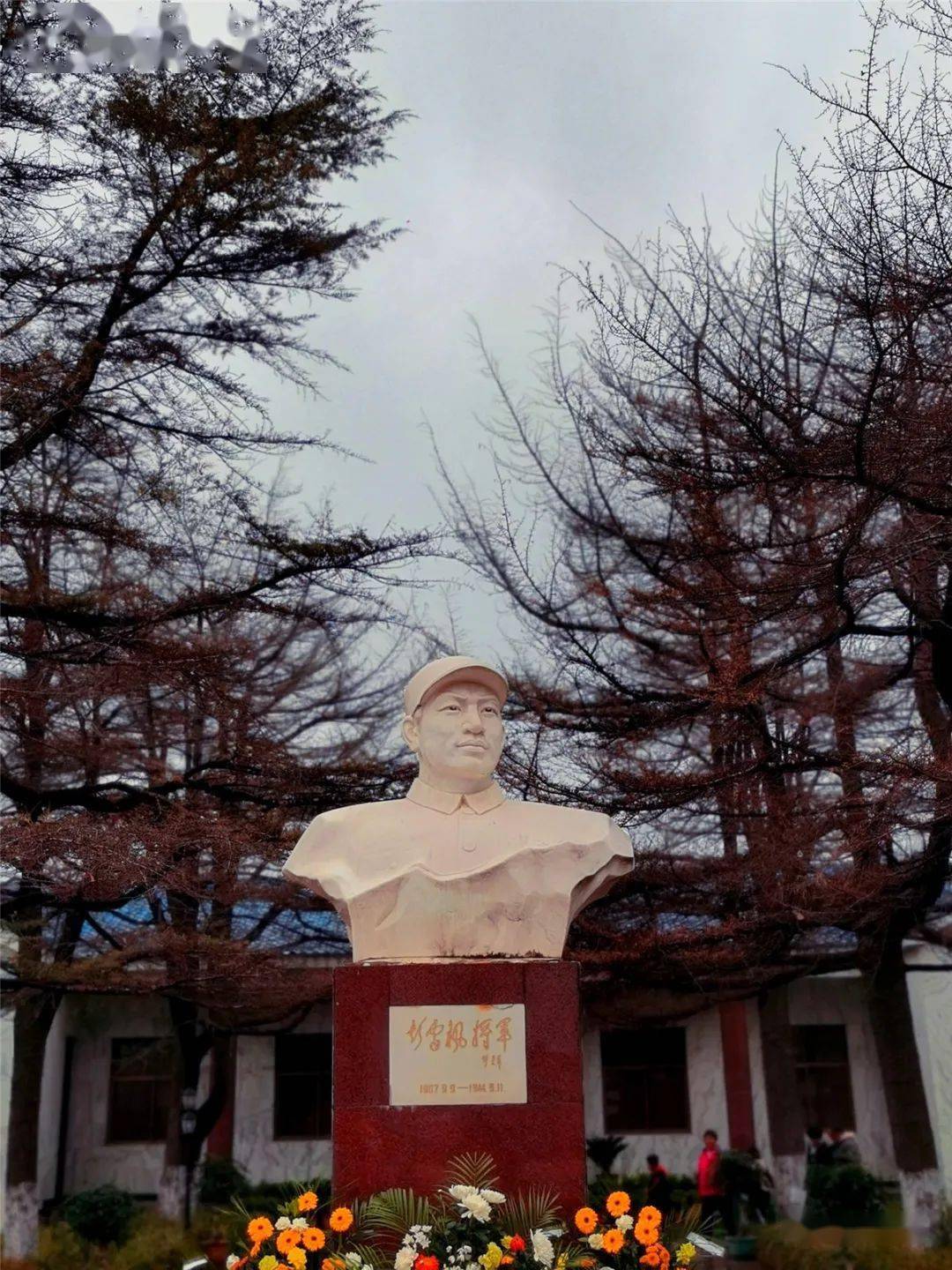 那是77年前的夏邑八里庄战斗,出生在南阳镇平七里庄的抗日名将彭雪枫