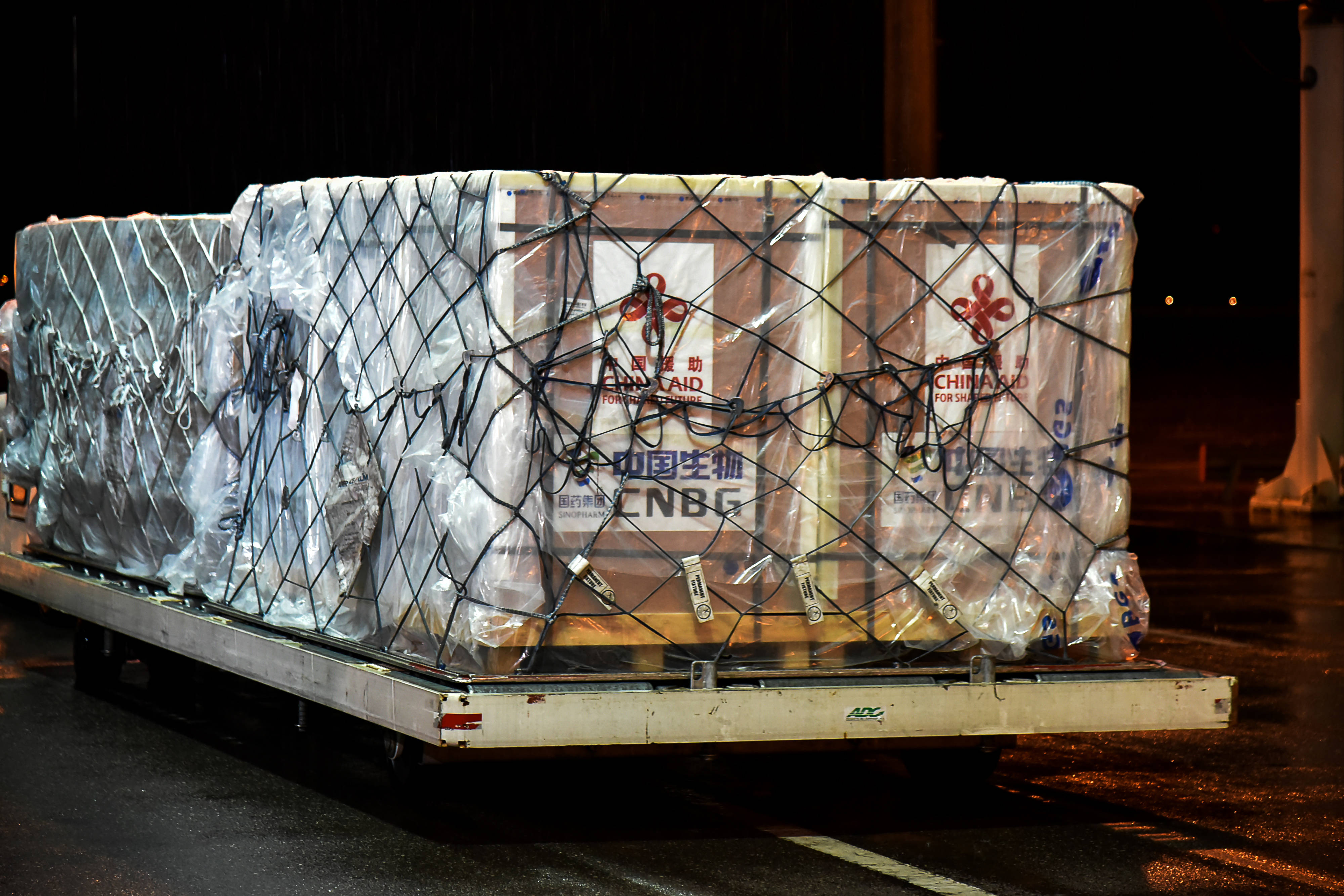 中国援助的新冠疫苗运抵喀麦隆