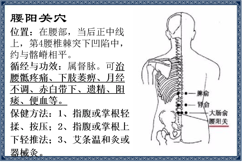 穴位保健健腰要穴