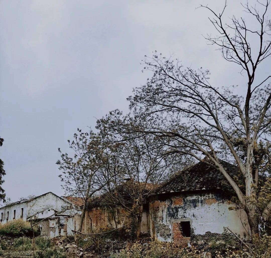 记忆中的渭塘老街