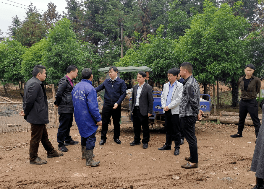 4月10日,安福县委副书记,县长毛江虎带队督查第二轮中央生态环境保护