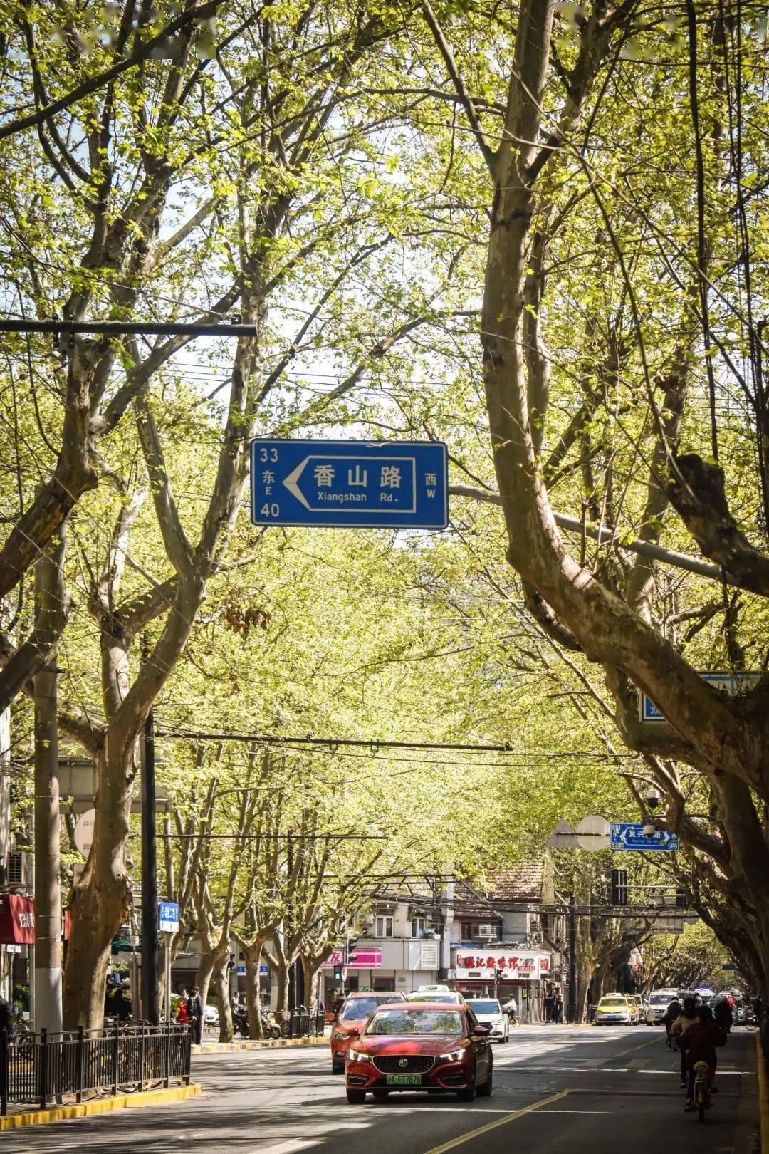 十年了,你还记得卢湾区吗?_黄浦