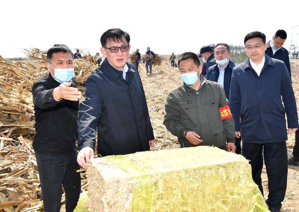 九台区调研秸秆全量化处置工作,对全市春季秸秆离田,禁烧管控,全量化