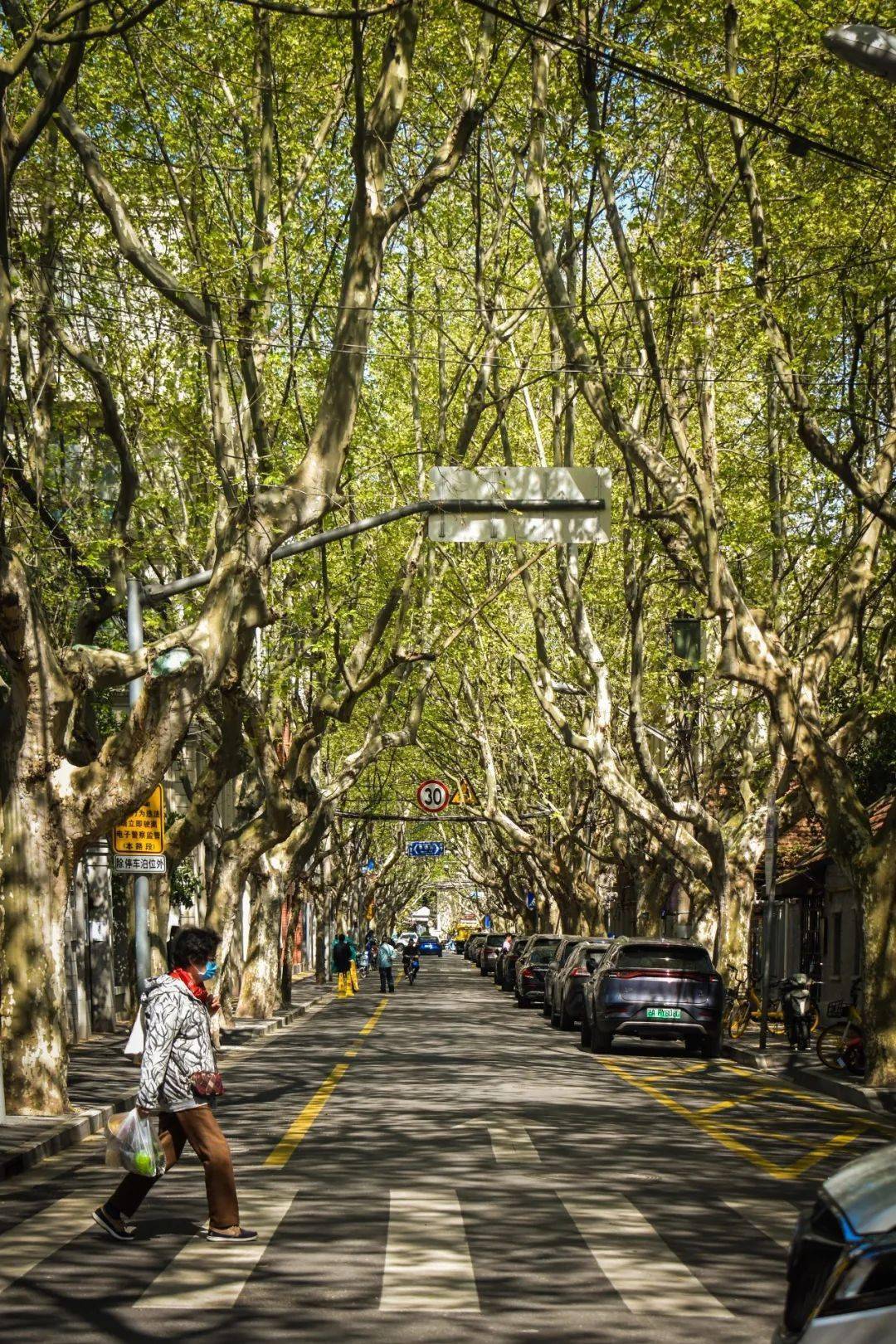 原创十年了你还记得卢湾区吗