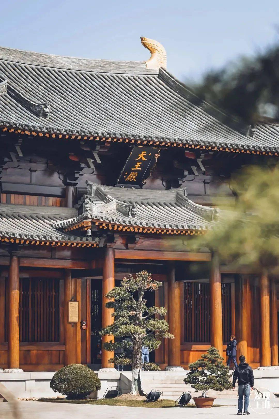 12大藏身魔都的古风地标,个个都是古装大片级现场!_桂林公园