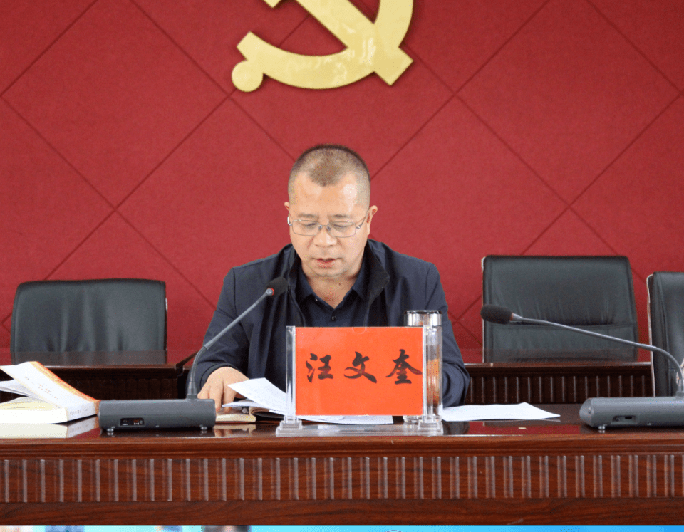 压实责任 高位推进—文昌镇召开党史学习教育推进会