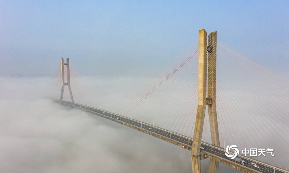 浓雾锁长江,鄂黄大桥漂浮其上,好似云端上的海市蜃楼.(图