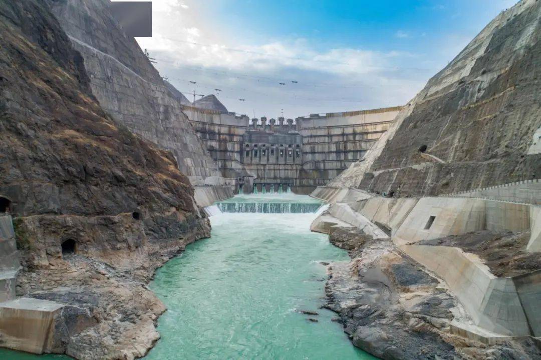 办关于开展2021年病媒生物防制的公告●白鹤滩水电站开始蓄水,葫芦