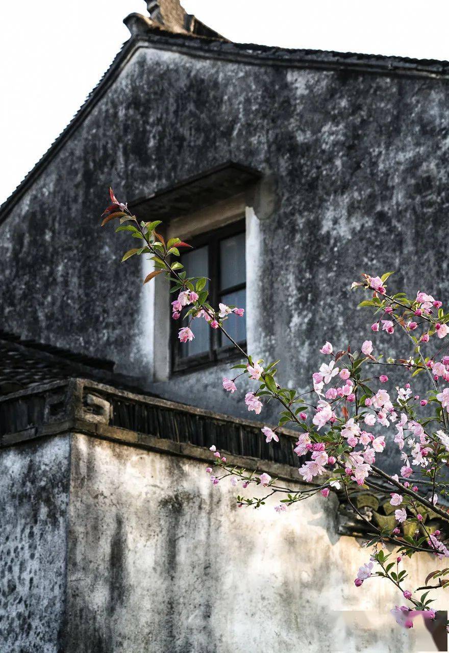 杏花烟雨醉江南