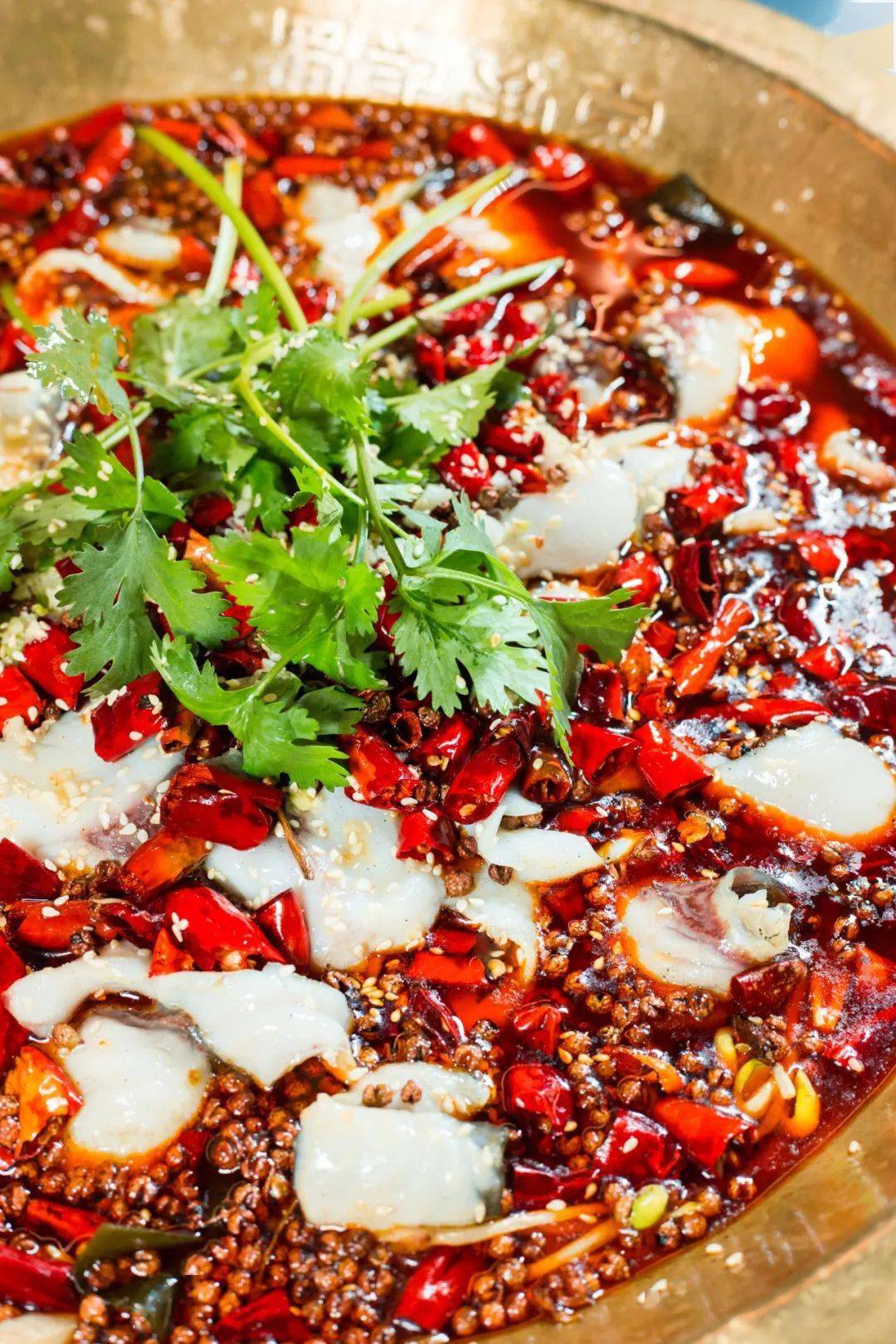 8折!一锅52厘米的鲜辣,就在福州一"民居"里._鱼鲜