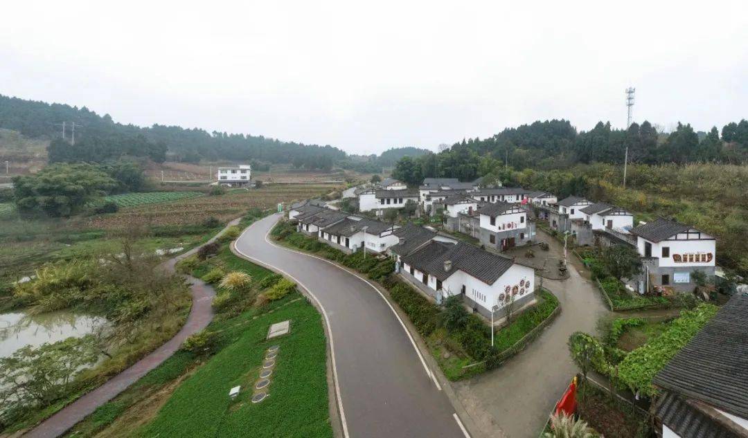 桥村第一书记邓勇 平泉街道太阳村第一书记刘操 宏缘镇党委书记酉艳霜