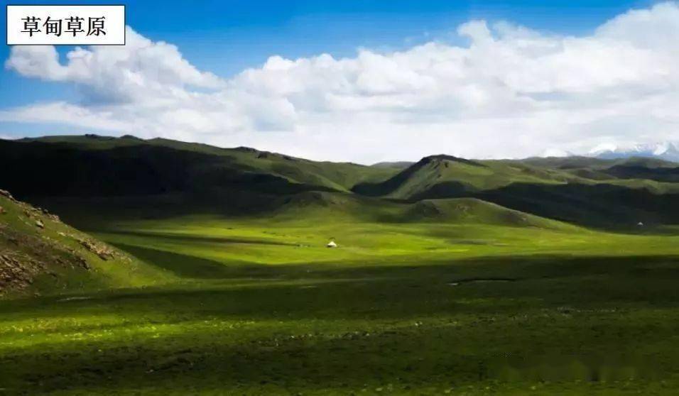 【概念辨識】高考地理草甸與苔原,草甸與草原的區別!