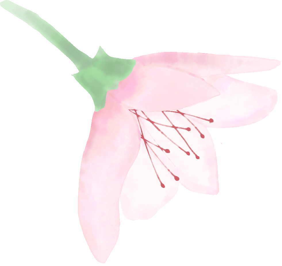 春深花满 诗栖叔同馆 春游雅集圆满举办 李叔同