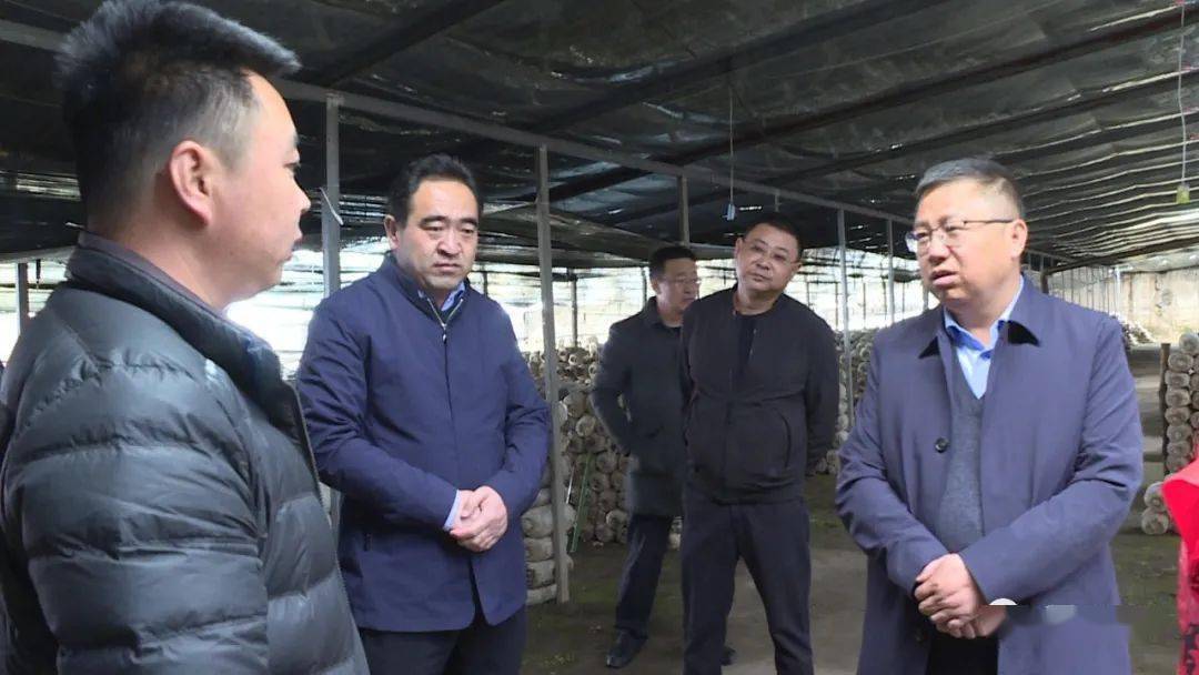 学党史悟思想办实事开新局史炬炜深入部分乡镇调研指导当前重点工作