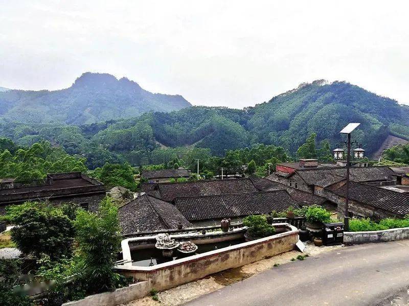 别再问南宁有什么好玩的了这些乡村正是最美的时候