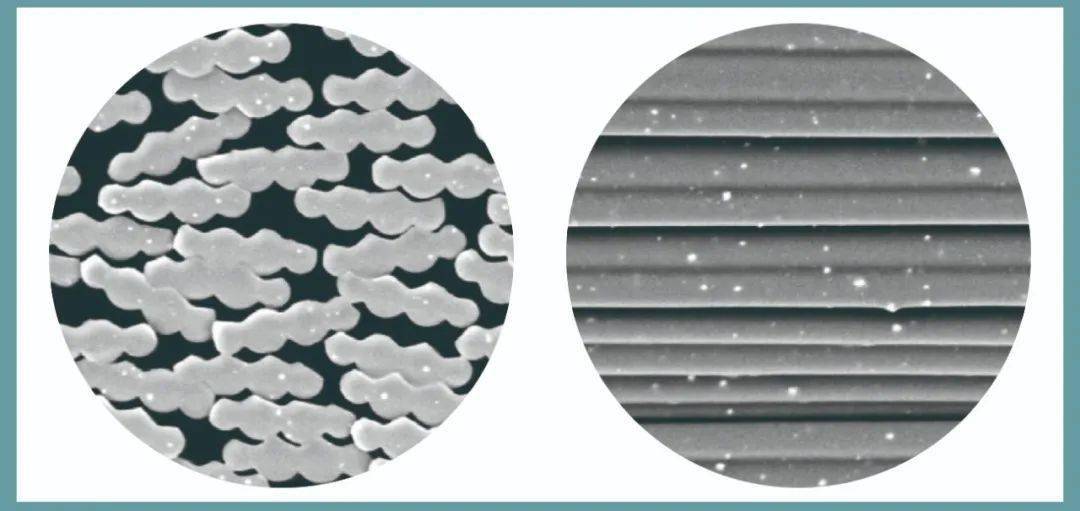 纤维截面图为示意图,仅供参考.