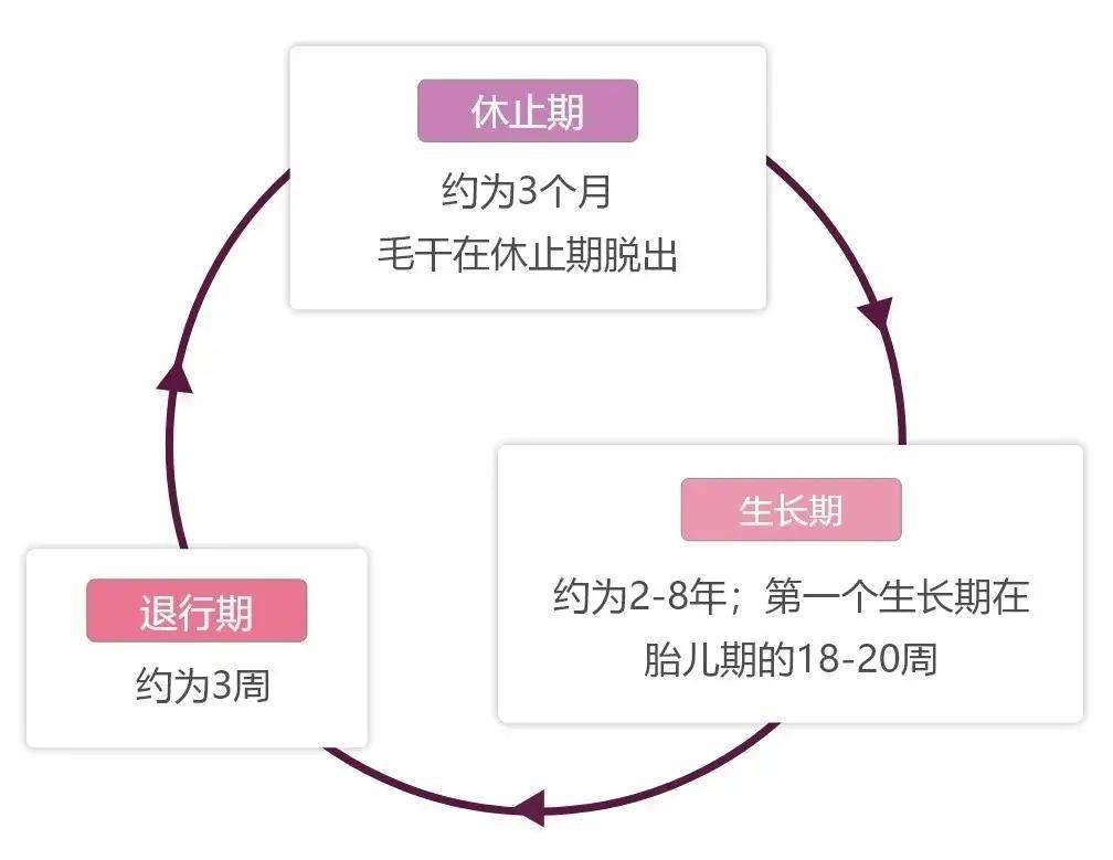 人家还是个宝宝 怎么也 秃 了 斑秃