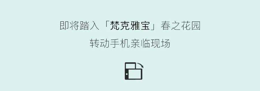 ����ű�����֮��԰���ս�����Frivoleϵ�������ݻ�������