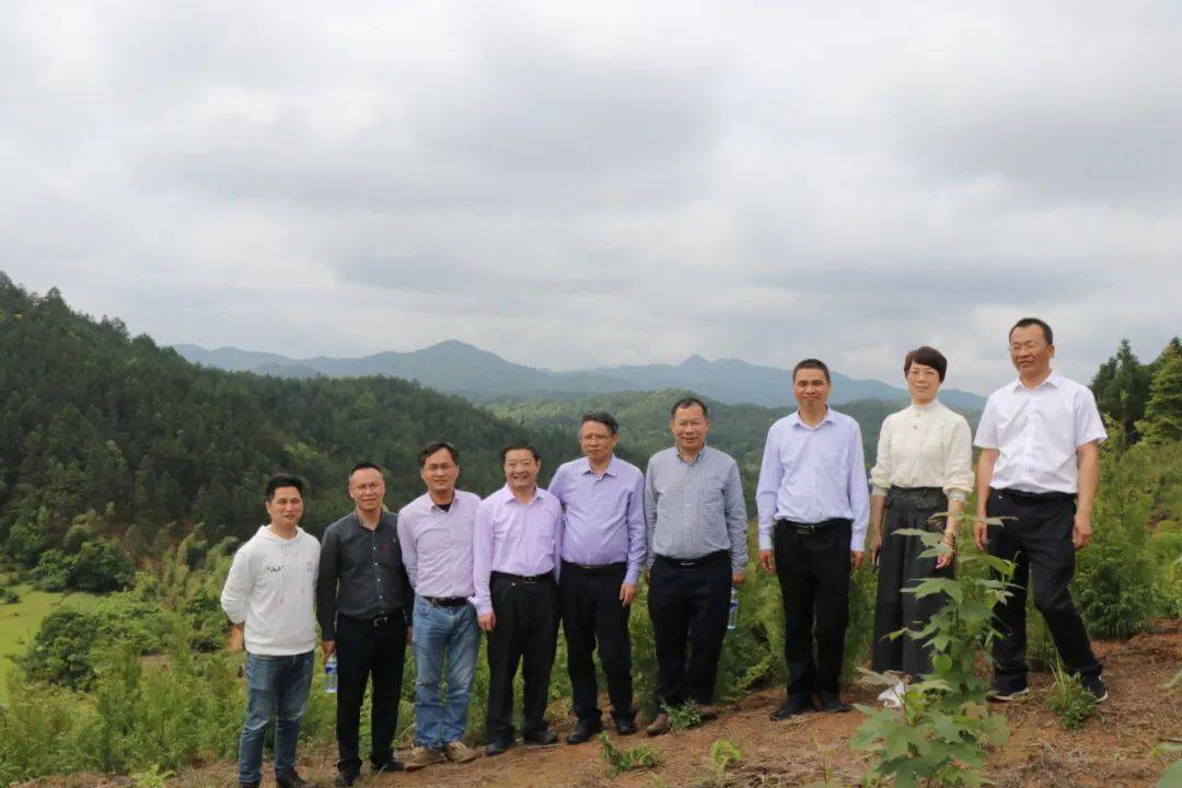 福建师范大学副校长陈庆华一行深入上杭白砂国有林场调研