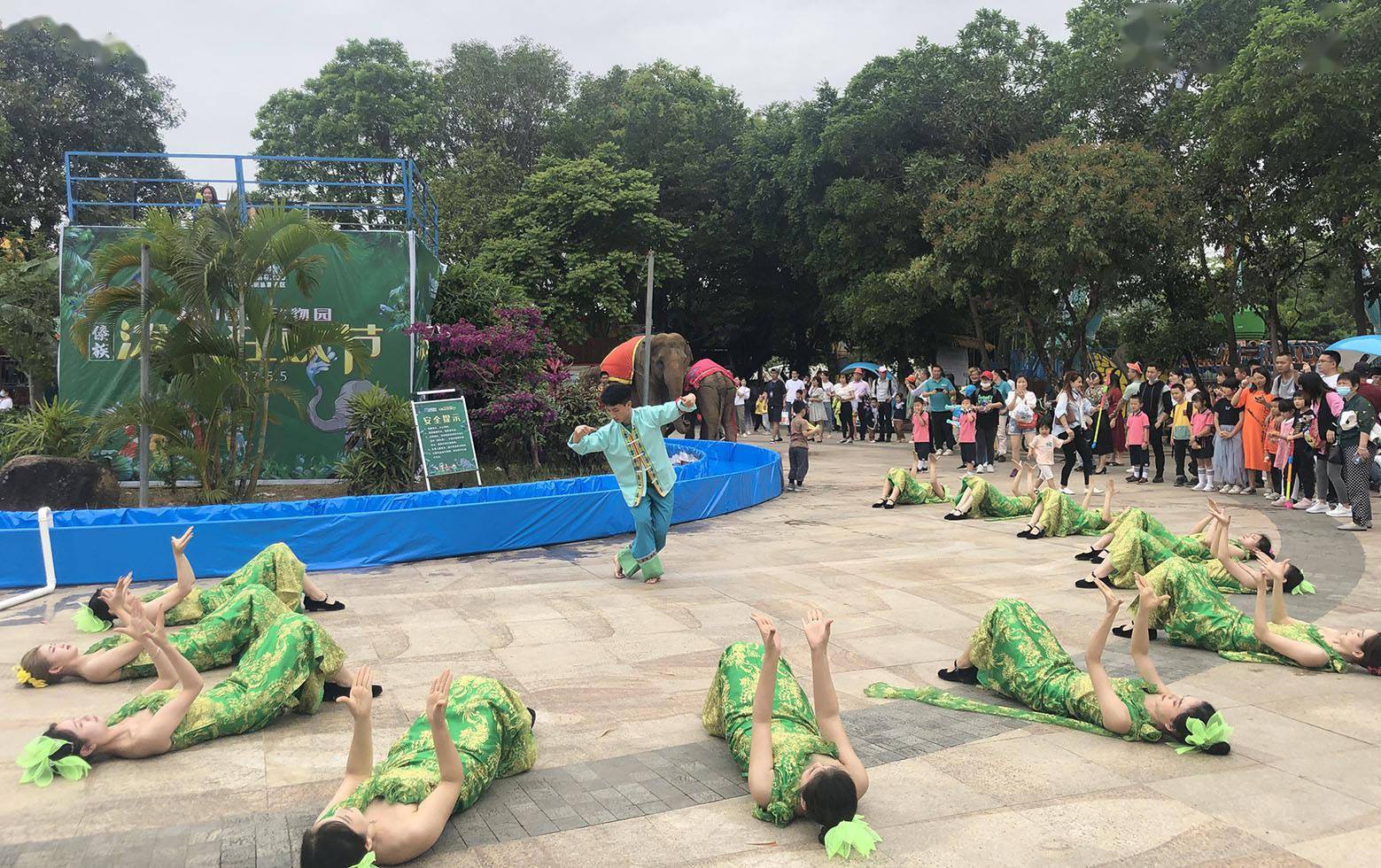 东莞香市动物园傣族泼水节欢乐开启，戏水品美食赏美女乐不停