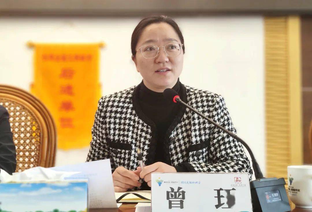 会议第七项:镇创文办,下街村,崇化社区,马金综合