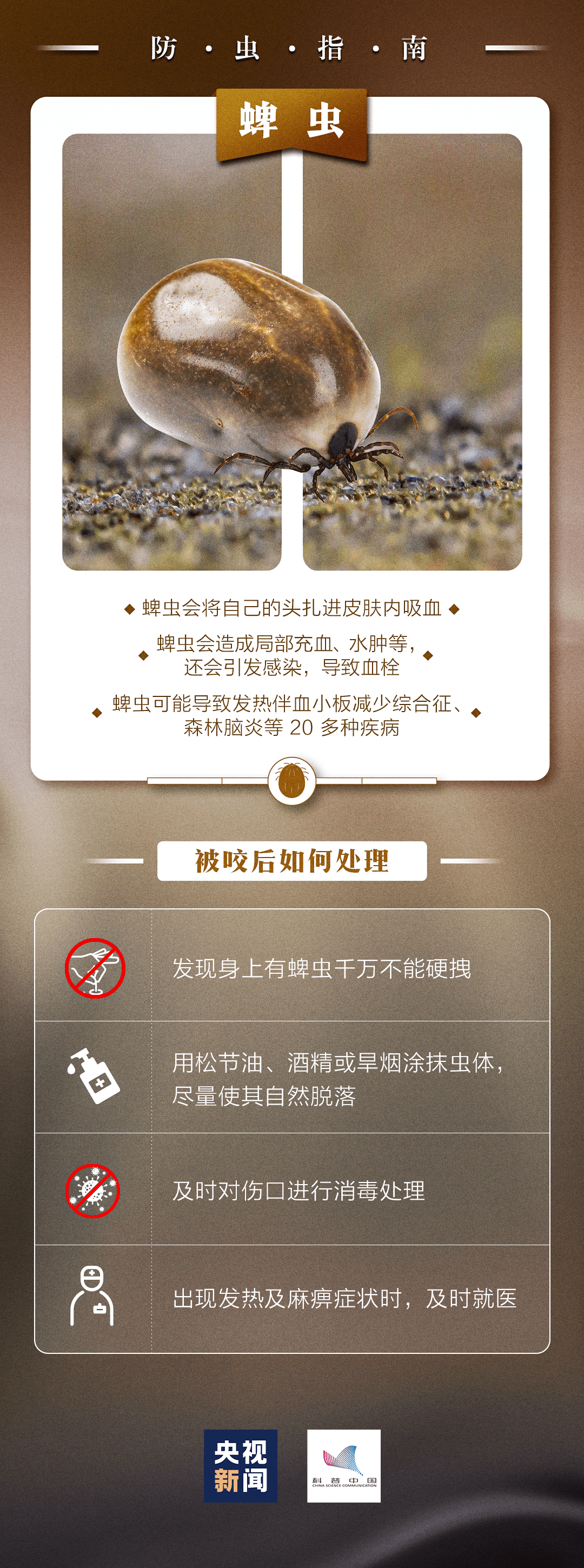 蚁咬怎么办