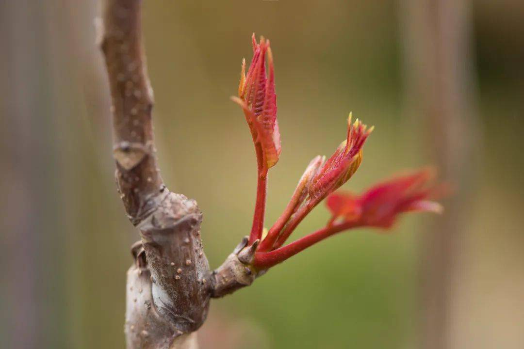 eebc42b032624e64a8b40221e2cda829.jpeg