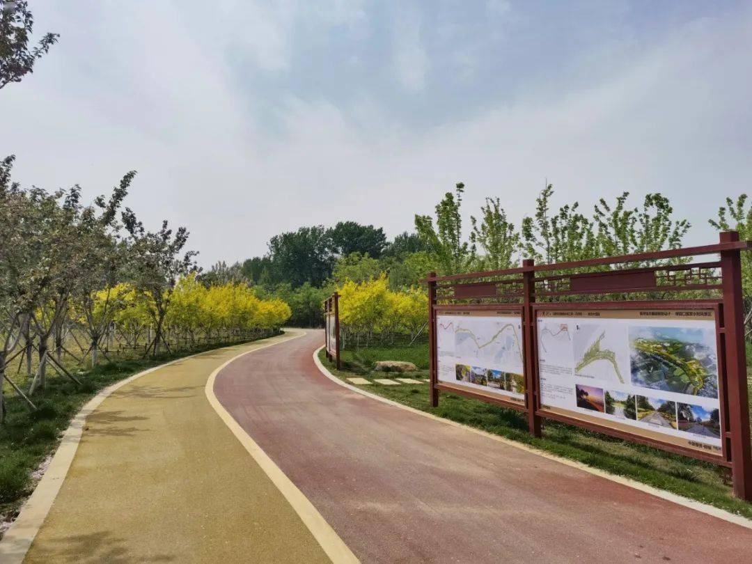 生态廊道彰显黄河文化