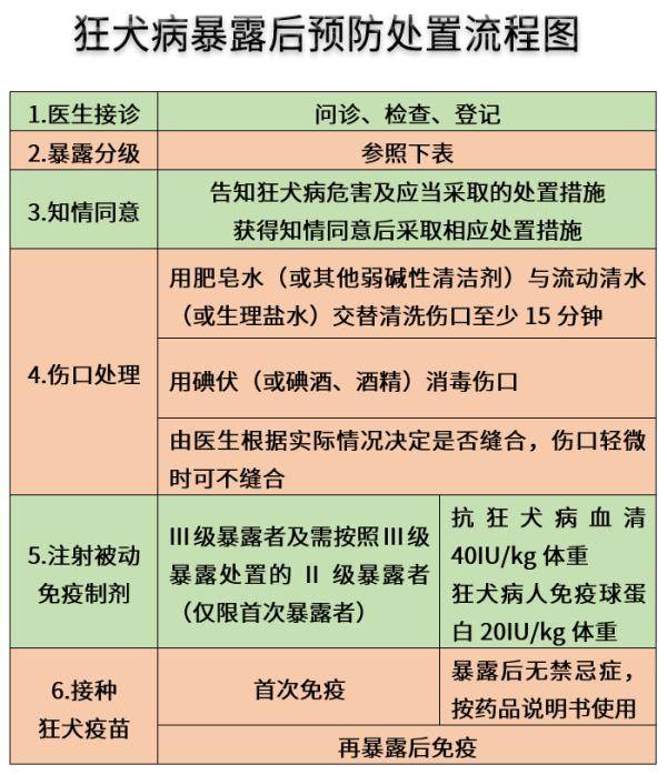 狂犬病的症状表现,你一定要了解!