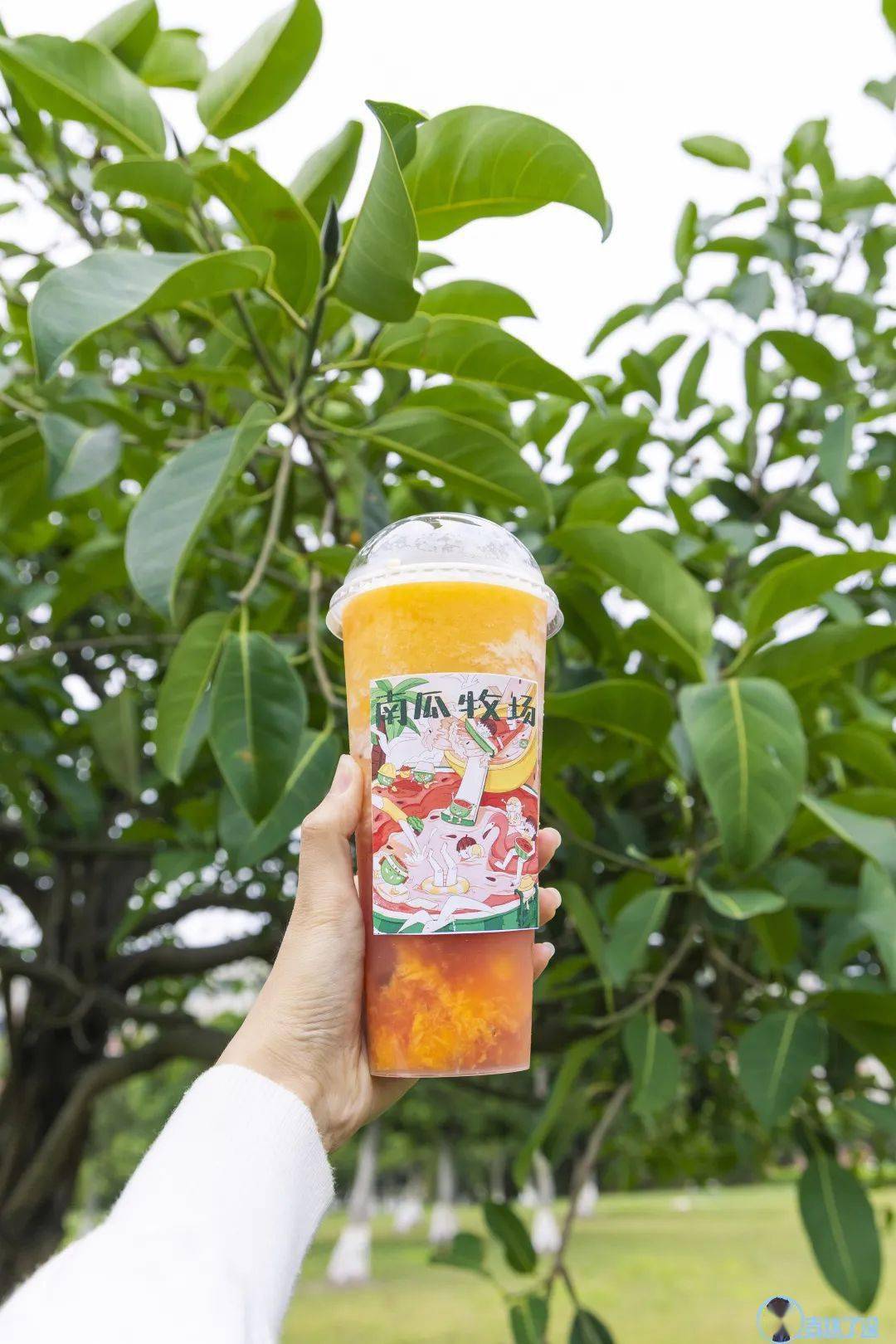 珠科网红奶茶南瓜牧场重磅福利来袭买一送一爆赞