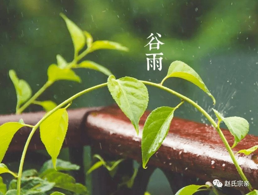 a281dfbb5db946069adb4add780dccf8.png