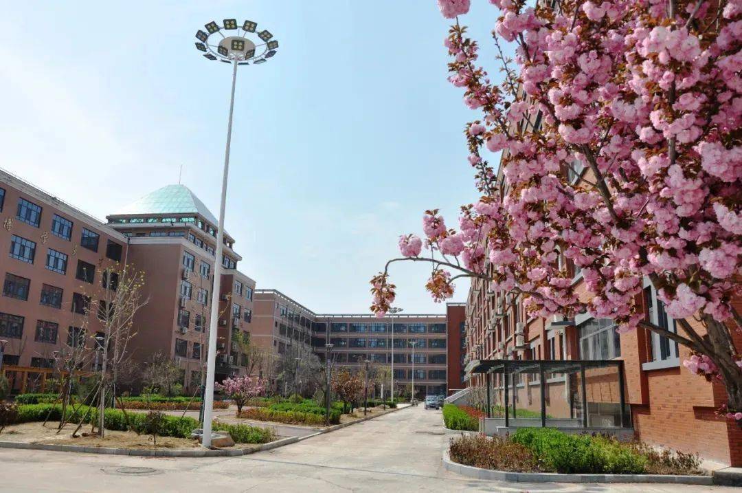 航天日语艺体长清中学朝着西部教育新高地阔步前行