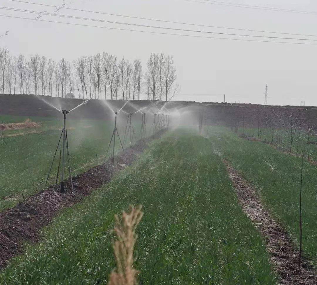 河北宁晋 地上变地下 带来大变化 灌溉