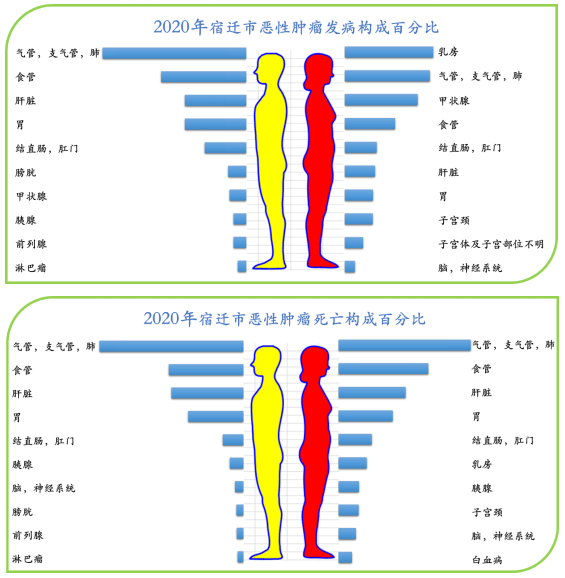 死亡约7000人2020年宿迁恶性肿瘤新发病前10位依次为肺癌,食管癌,胃癌