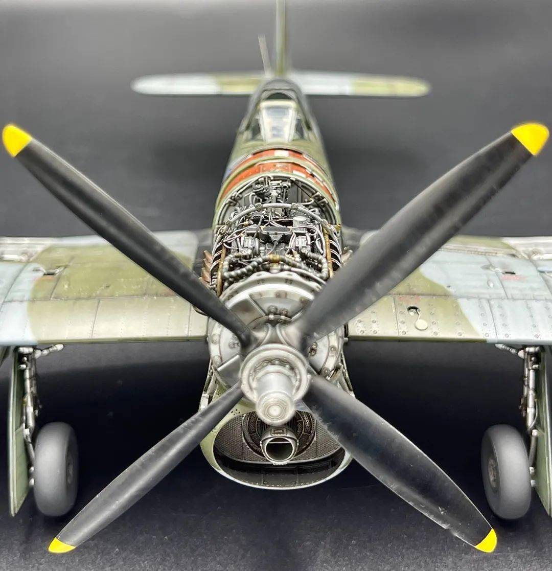 震撼首发2021年必看的年度国际级模型大师之作