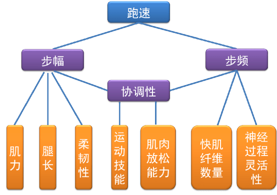 3b1967b489f143108f6a5e36754a1232.png