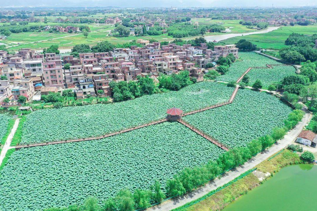 山塘腊味,山塘猪红,山塘河鲜,疍家鱼饭,一直深受人们的喜爱,到镇必吃!