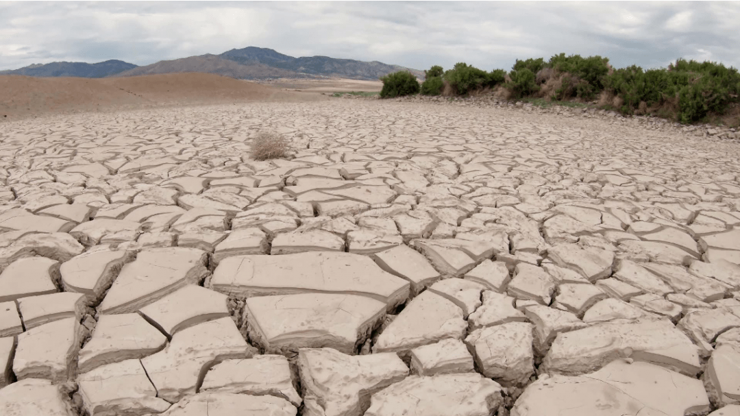 毒品污染地球不可承受之重