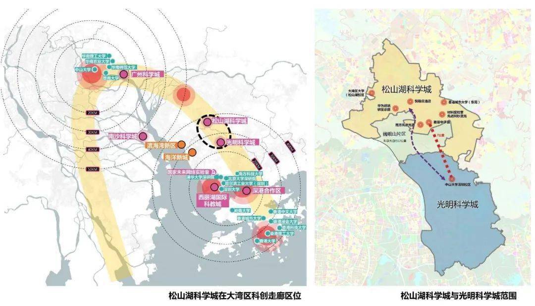 嘉兴滨海新区经济总量_嘉兴滨海之星图片(3)