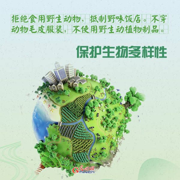 主题|世界地球日：善待自然 爱护地球