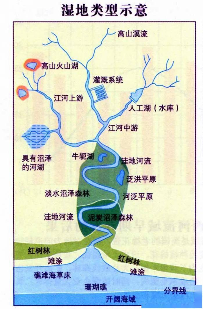 总结:河流对自然地理环境的影响