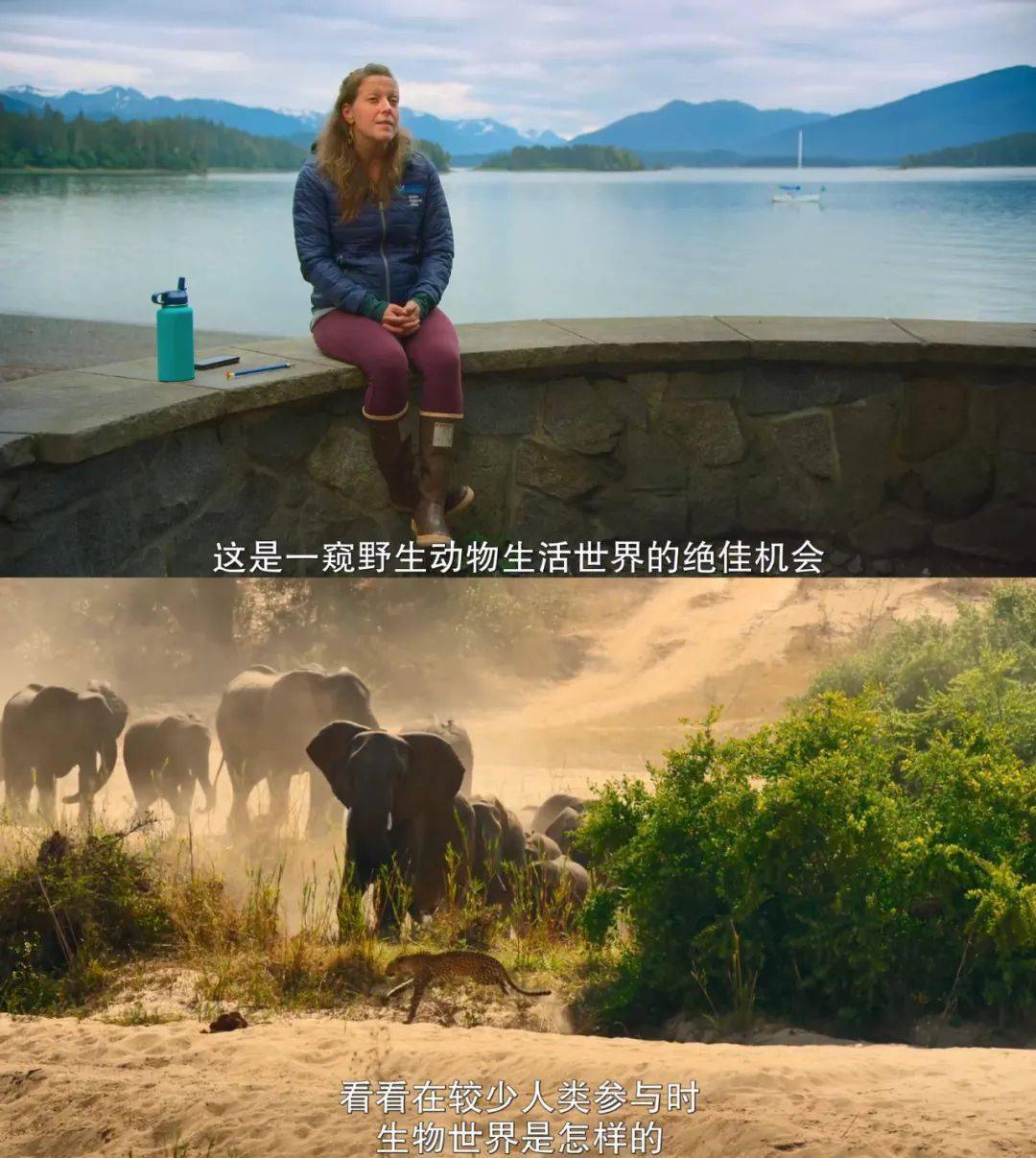 他一出场这9分大片非刷不可